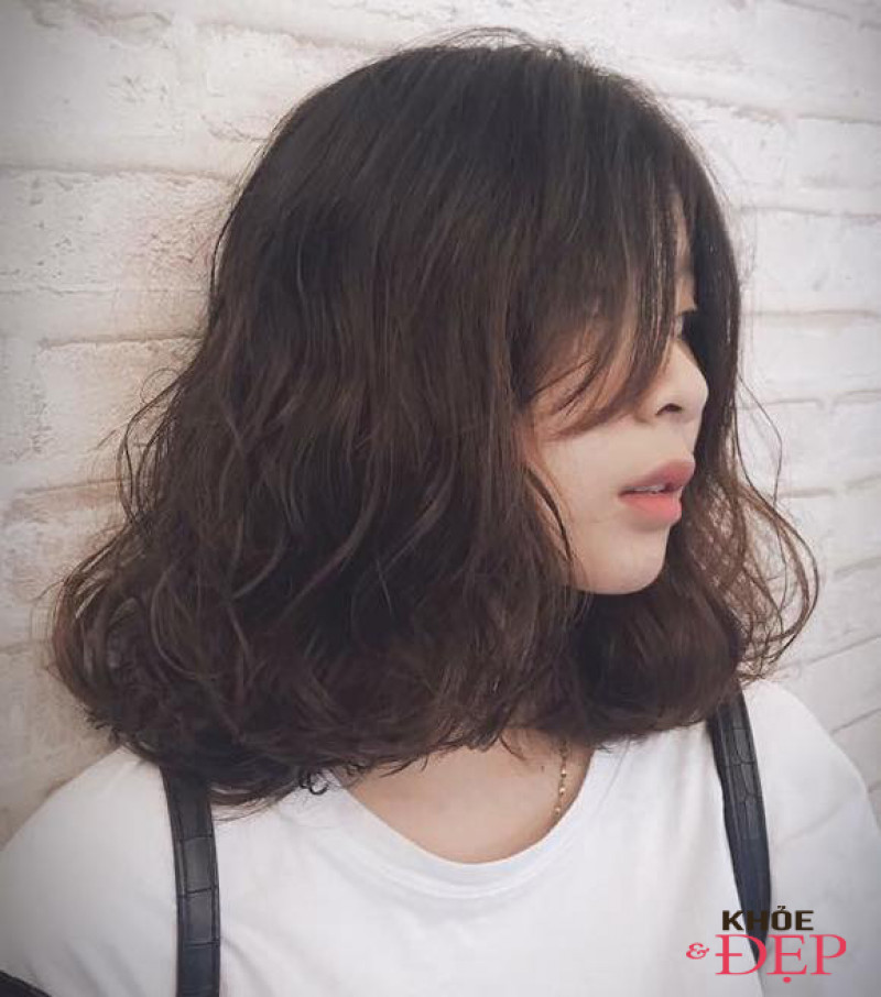 doan_nguyen_03