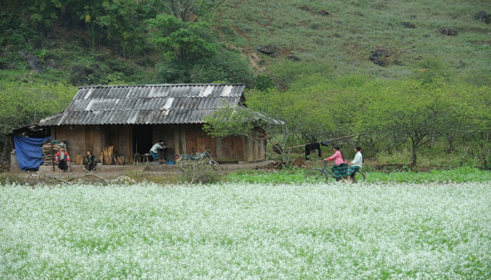 5 địa điểm bạn nên vi vu vào tháng 12